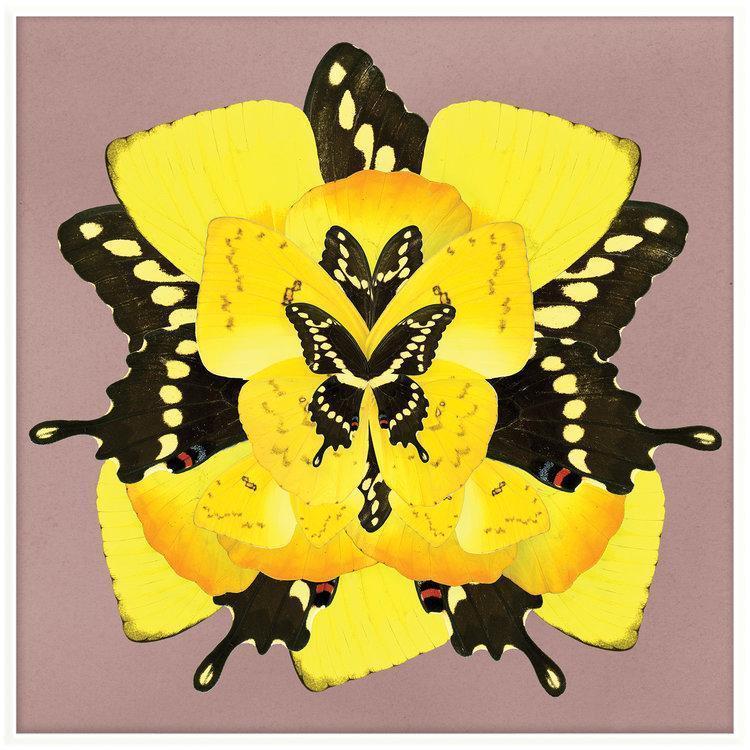 Sunrise Wings Artwork-Accessories-Bandhini Homewear Design-No Leaf-76cm x 115cm--abc