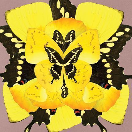 Sunrise Wings Artwork-Accessories-Bandhini Homewear Design-No Leaf-76cm x 115cm--abc