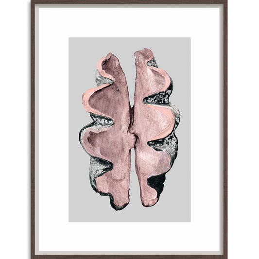 Victorian Shells 3-Accessories-Bandhini Homewear Design-No Leaf-76cm x 115cm--abc