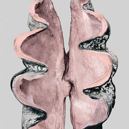 Victorian Shells 3-Accessories-Bandhini Homewear Design-No Leaf-76cm x 115cm--abc