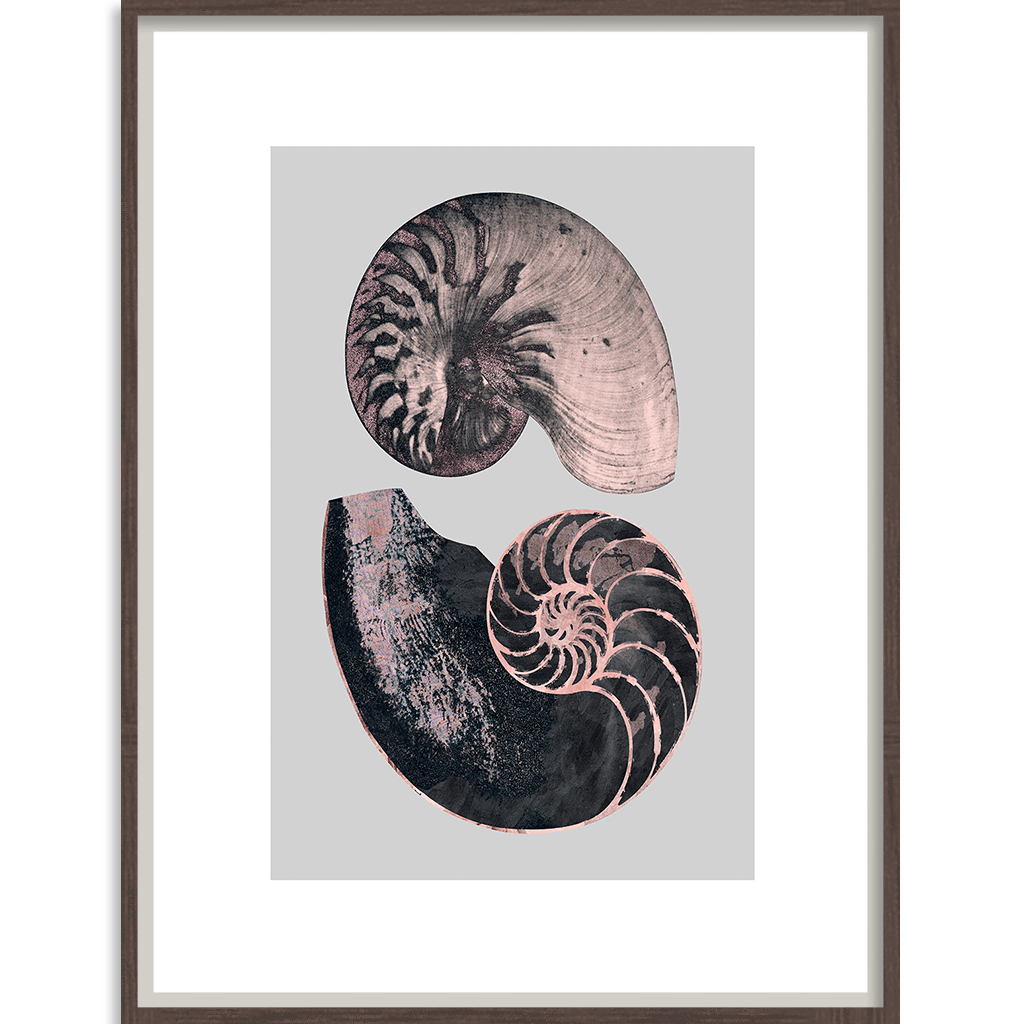 Victorian Shells 4-Accessories-Bandhini Homewear Design-No Leaf-76cm x 115cm--abc