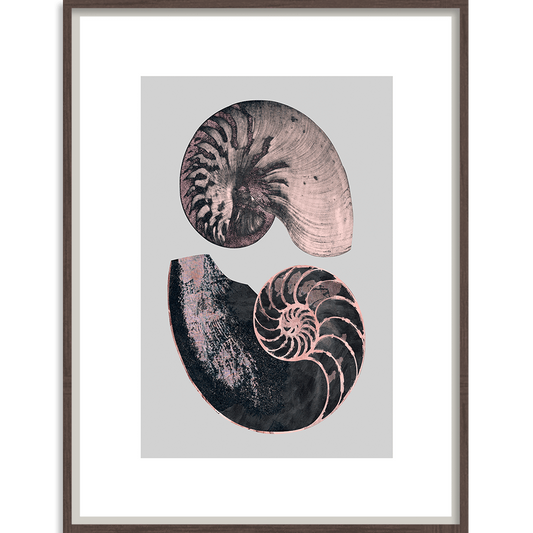 Victorian Shells 4-Accessories-Bandhini Homewear Design-No Leaf-76cm x 115cm--abc