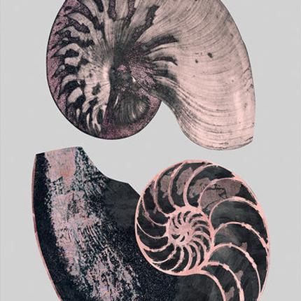 Victorian Shells 4-Accessories-Bandhini Homewear Design-No Leaf-76cm x 115cm--abc