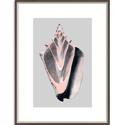 Victorian Shells - Wall Art - 101x101cm-Accessories-Bandhini Homewear Design-Default Title---abc