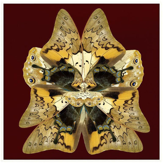 Wings Dusk Artwork-Accessories-Bandhini Homewear Design-No Leaf-76cm x 115cm--abc