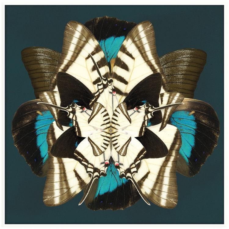 Winter Wings Artwork-Accessories-Bandhini Homewear Design-No Leaf-76cm x 115cm--abc