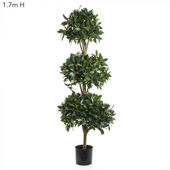 Sweet Bay Triple Ball Tree 1.7m-Accessories-Florabelle-Default Title---abc