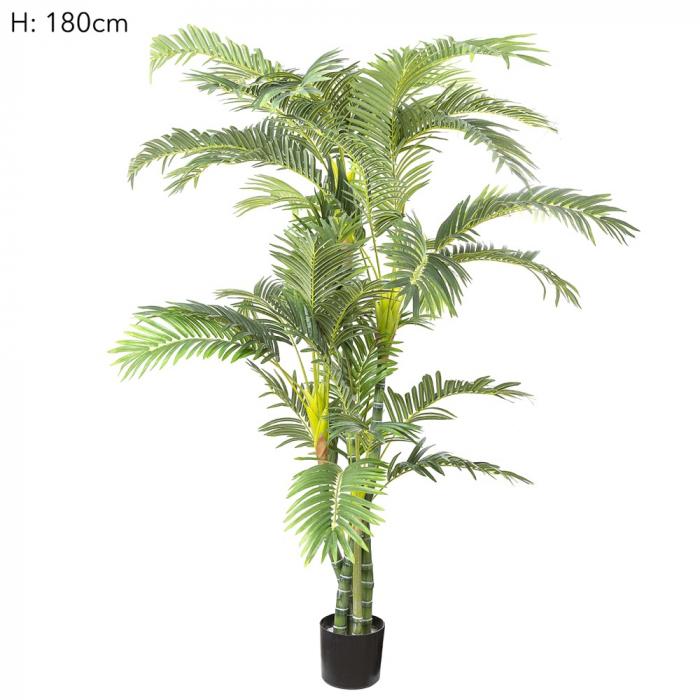 Parlour Palm Twisted Trunk 1.8m-Accessories-Florabelle-Default Title---abc