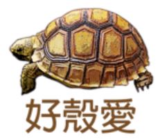 product with 2 variants 0818, 0820-Decorators-Hudson Living-tortoise-with text--abc