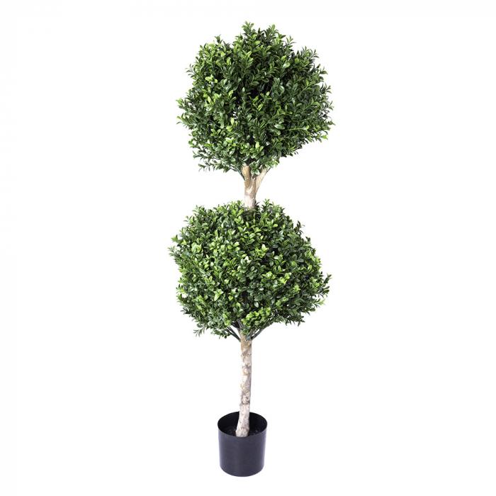 Boxwood Double Ball Tree 1.1m (re B35)-abc
