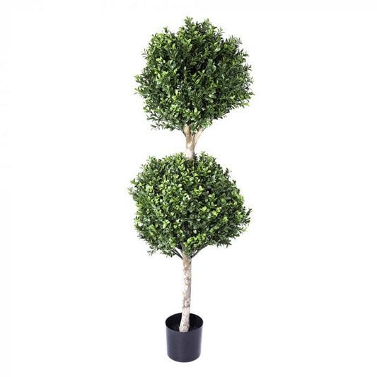 Boxwood Double Ball Tree 1.1m (re B35)-abc