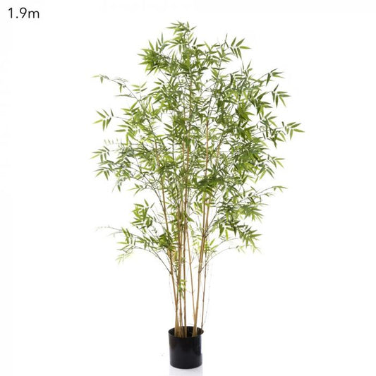 Oriental Bamboo Tree 1.9m-abc