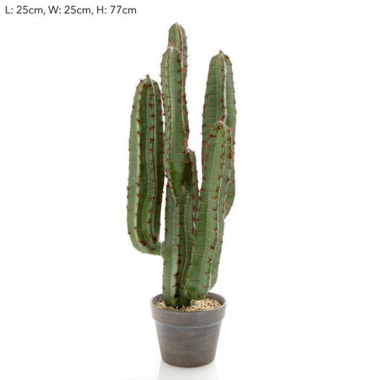 Desert Cactus 82cm-abc