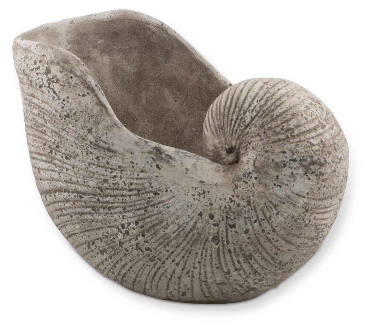 Cement Shell Planter-abc