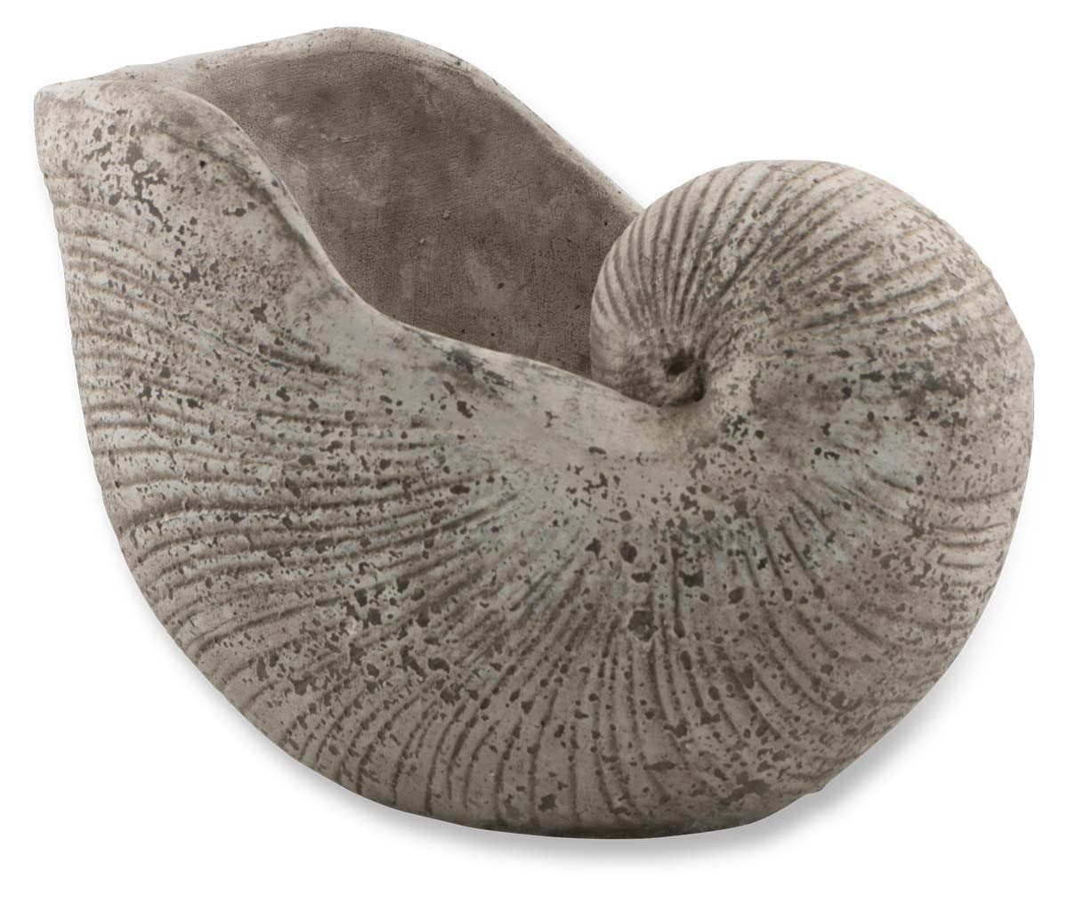 Cement Shell Planter-abc