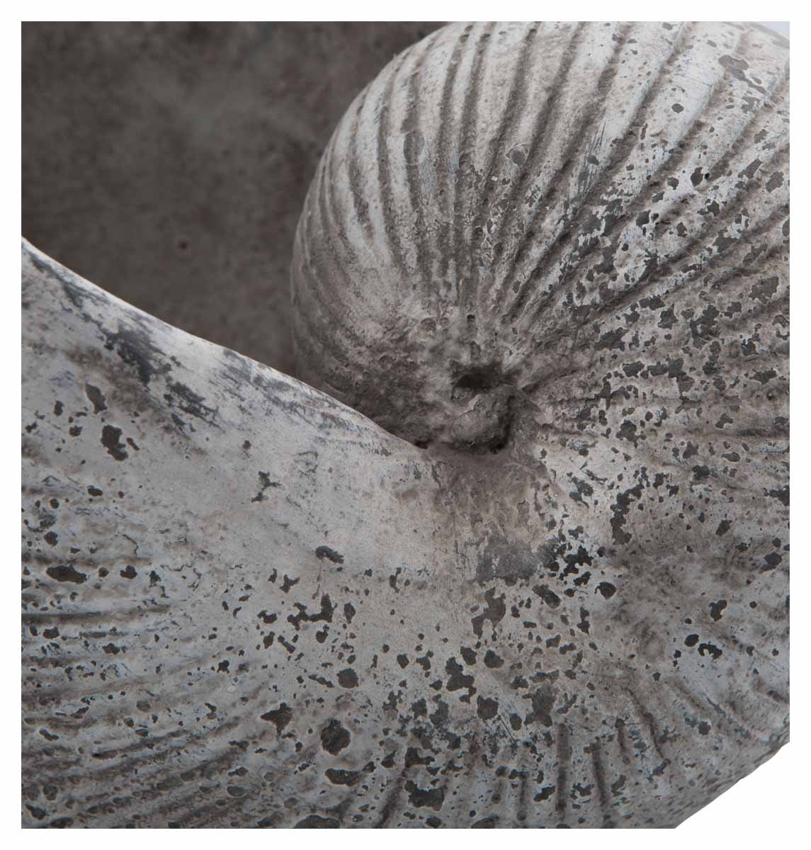 Cement Shell Planter-abc