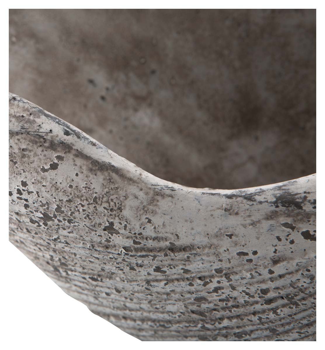 Cement Shell Planter-abc