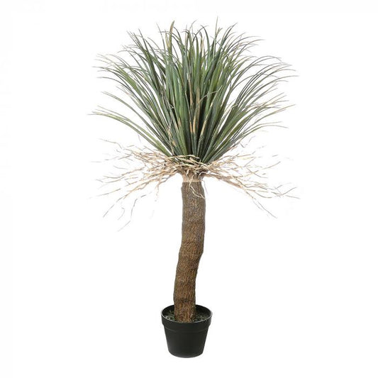 Grass Tree Small-abc