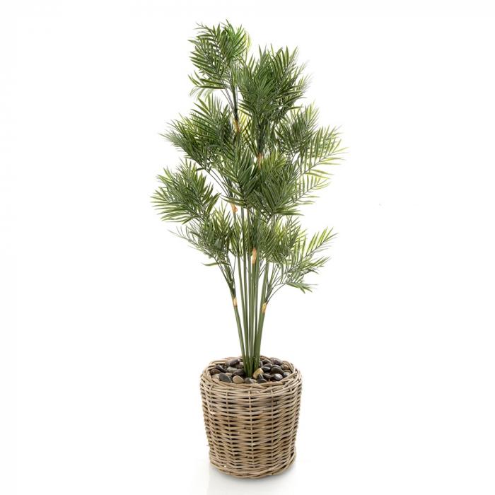 Parlour Palm 1.2m in D652 Pot-abc