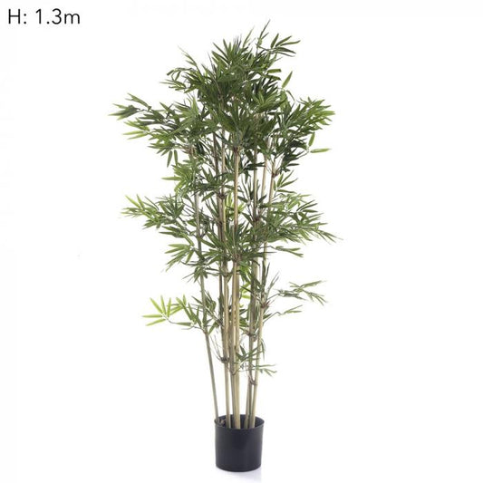 Japanese Bamboo Tree x9 1.2m 1440Lvs-abc