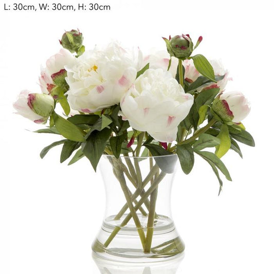 Peony in Water in Glass Vase White-Accessories-Florabelle-Default Title---abc