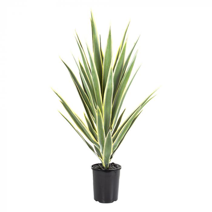 Yucca Head 78cm Potted-Accessories-Florabelle-Default Title---abc