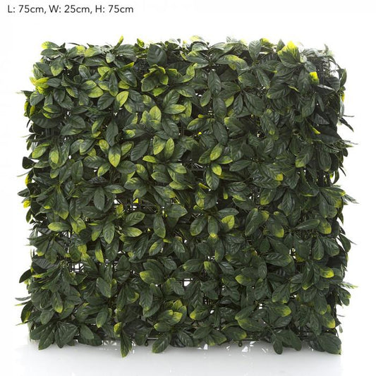 Garden Hedge 75x25x75-abc