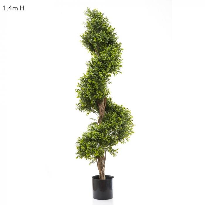 Boxwood Spiral Tree Budget 1.4m-abc