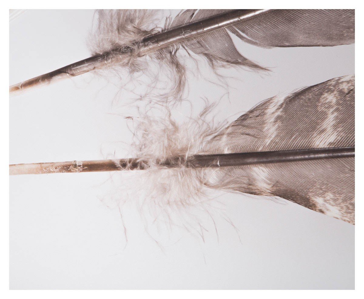 Three Feathers on Stretched Canvas Wall Art-Accessories-Home & Giftware-Default Title---abc