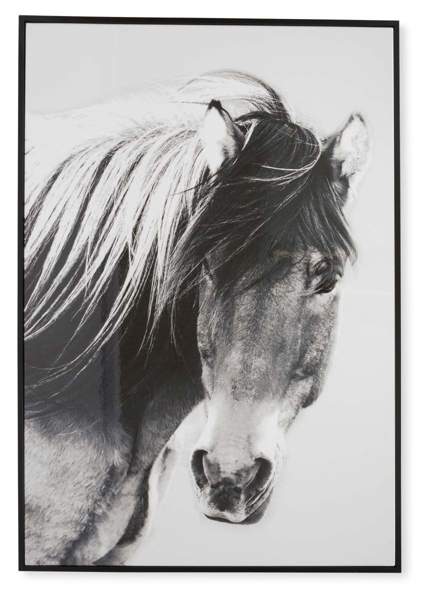 Wild Brumby Wall Art-Accessories-Home & Giftware-Default Title---abc
