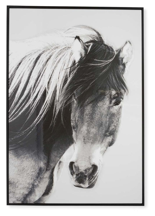 Wild Brumby Wall Art-Accessories-Home & Giftware-Default Title---abc
