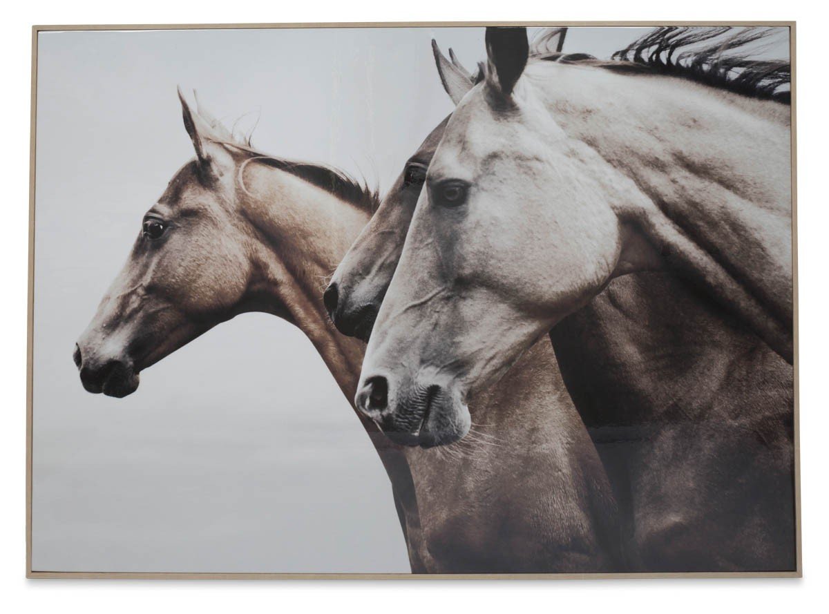 Wild Horses Wall Art-Accessories-Home & Giftware-Default Title---abc