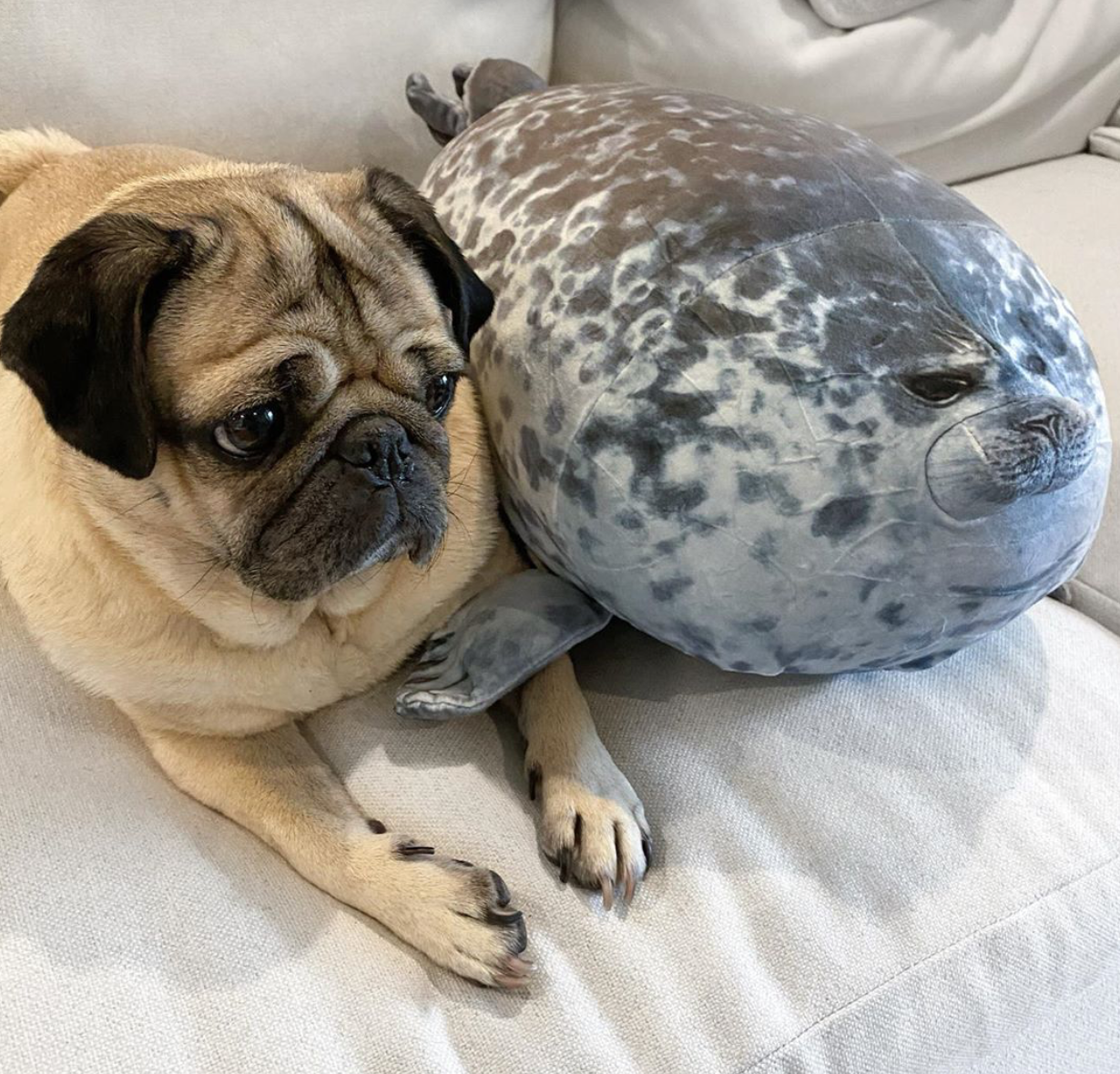 brand new product 0914 with variants-abc