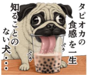 product with 2 variants 0818, 0820-Decorators-Hudson Living-tortoise-with text--abc