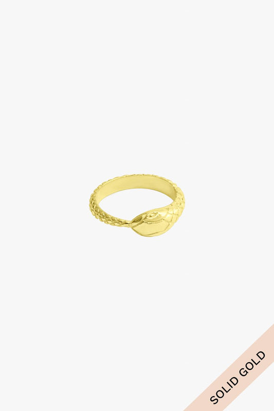 Snake ring 14k solid gold (pre-order)-Ring-Wildthings_collectables-1 (16.5mm / US 6)-Solid Gold--abc