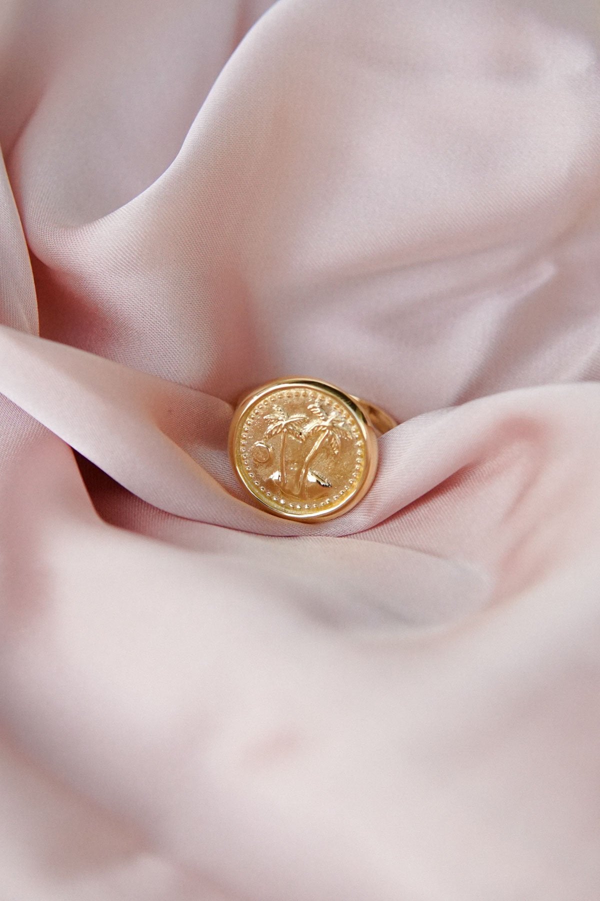 Paradise coin ring gold plated-Ring-wildthings_collectables-Gold plated-1 (US 6.5 / 16.9 mm)--abc