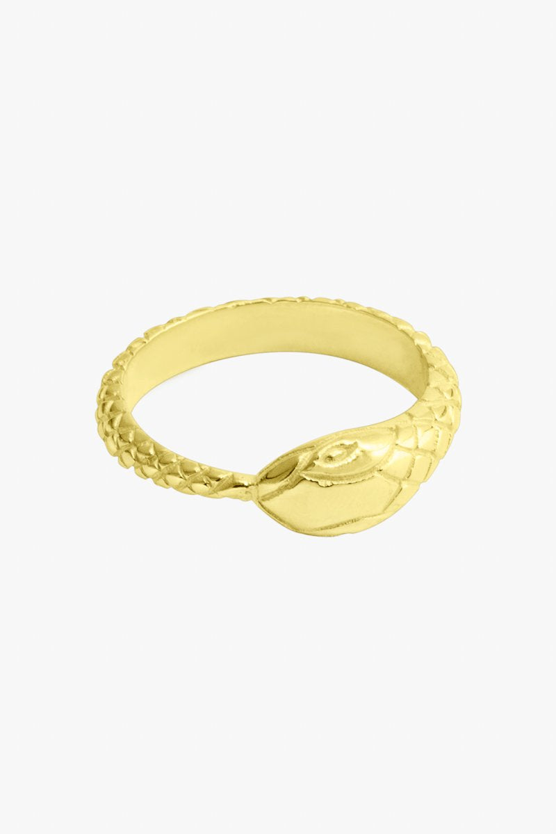 Snake ring gold plated-Ring-Wildthings_collectables-1 (US 6 / 16.5mm)-Gold plated--abc