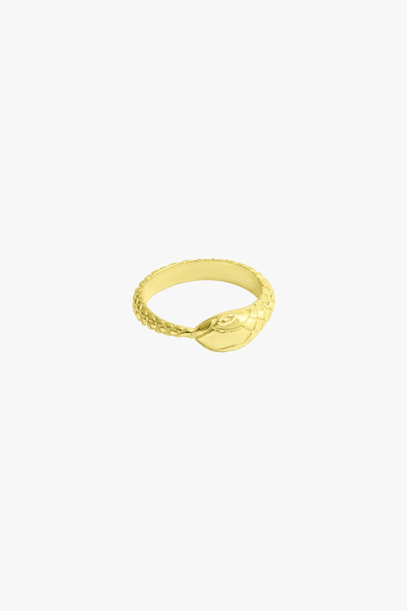 Snake ring gold plated-Ring-Wildthings_collectables-1 (US 6 / 16.5mm)-Gold plated--abc